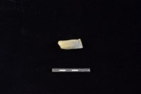 藏品(陶把)的圖片